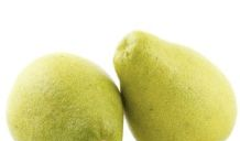 台湾麻豆文旦,甘甜多汁，品味台湾的柑橘传奇