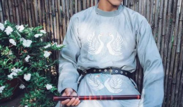 合肥麻豆,揭秘合肥本土网红的崛起之路